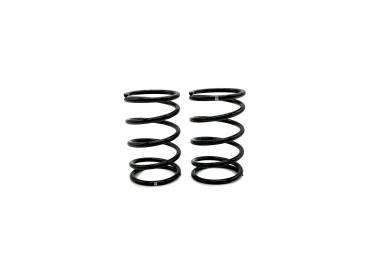 SWORKz GT Black Competition Feder Stoßdämpfer A1 (40x2.2x5.5)(GN)(2)